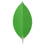 MongoDB